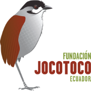 Jocotoco